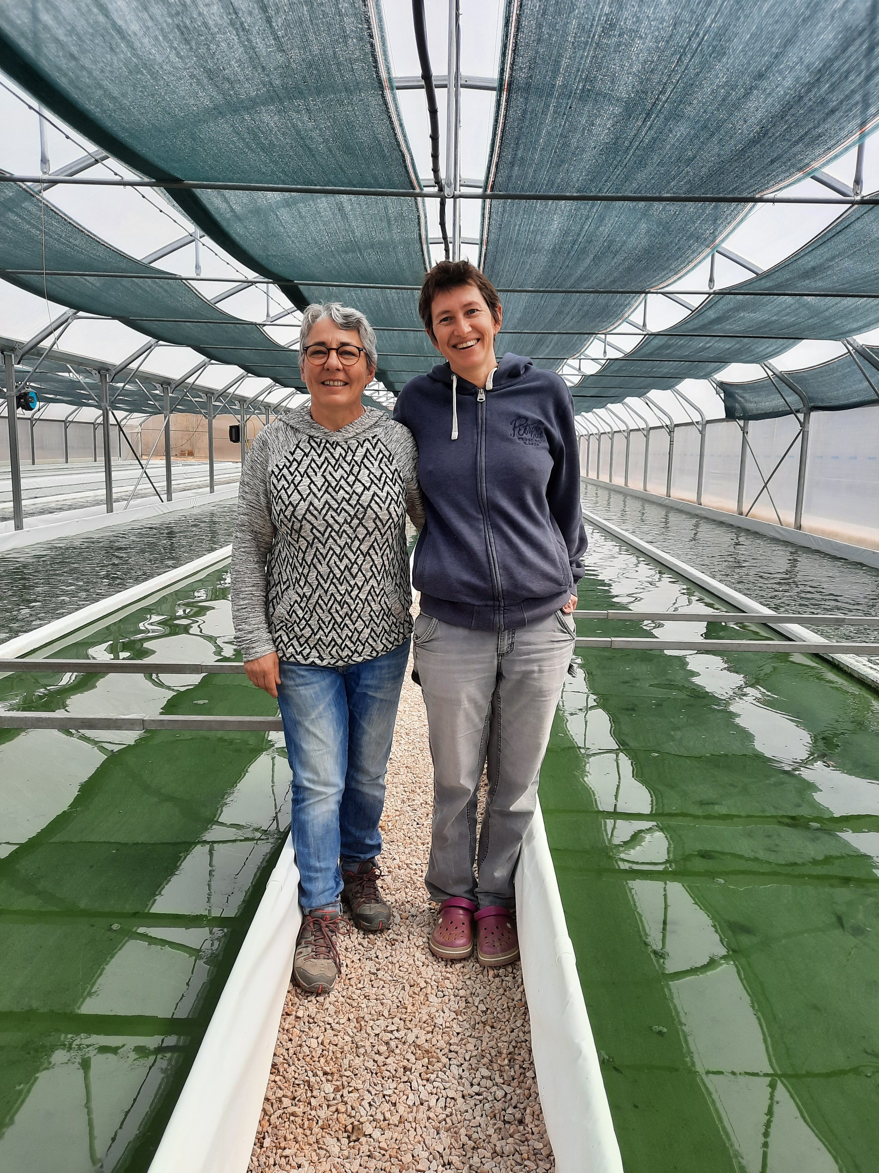 Céline et Chantal, productrices de spiruline