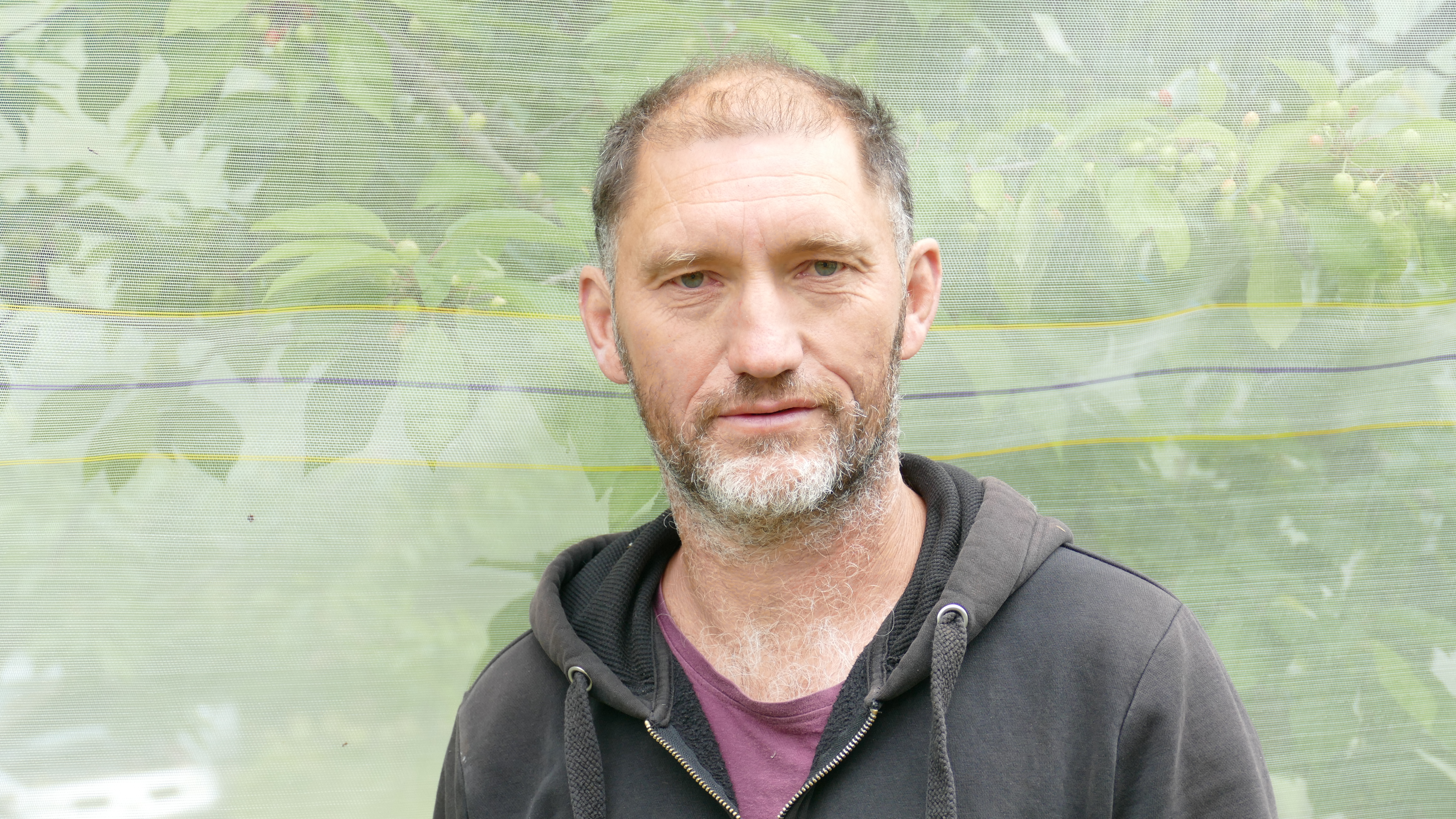 Les cerises bio de la vallée du Tarn